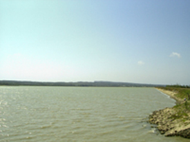 sq